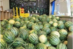 今日吃瓜网,揭秘娱乐圈最新热点事件，带你领略明星幕后故事